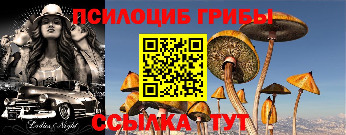 Псилоцибиновые грибы мицелий  Вход с VPN  Псилоцибиновые грибы MAGIC MUSHROOMS  Чистополь 