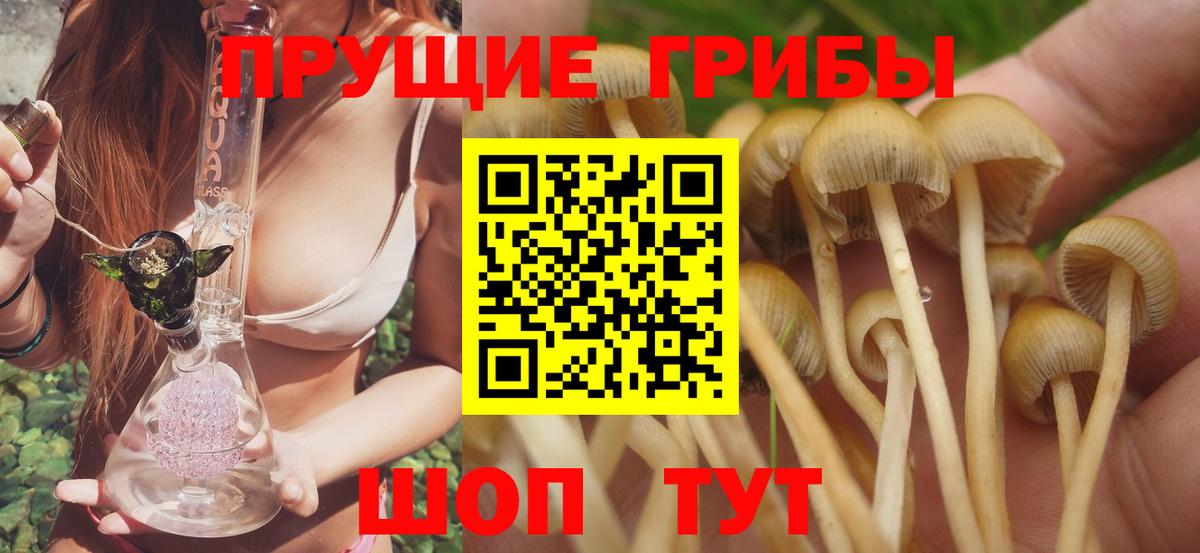 Галлюциногенные грибы Magic Shrooms Чистополь