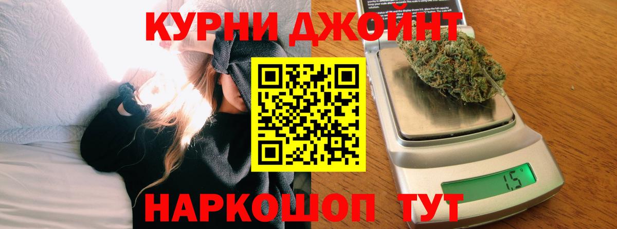 Конопля сатива Чистополь